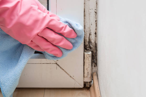 Dayton, OH Mold Remediation Company